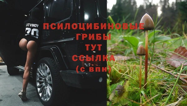 ALPHA-PVP Армянск