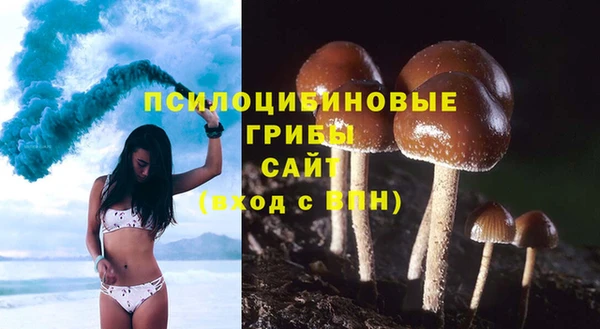 ALPHA-PVP Армянск