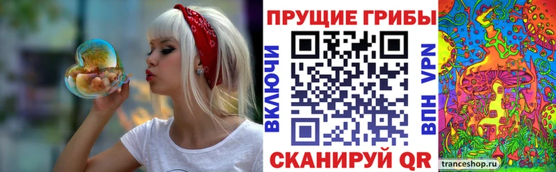Галлюциногенные грибы мицелий  блэк спрут рабочий сайт  Белокуриха 