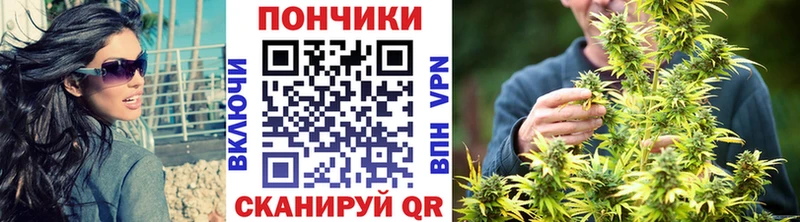 Бошки марихуана THC 21%  KRAKEN сайт  Белокуриха 